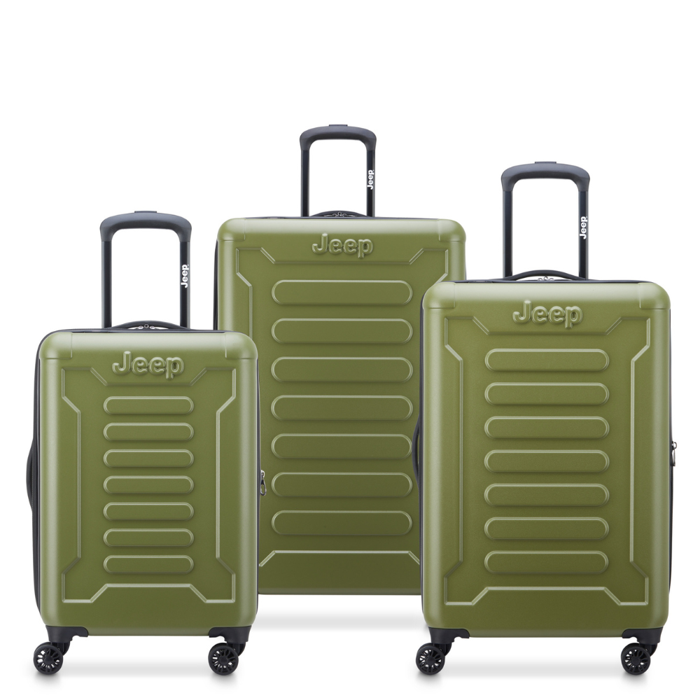 JH004C 3-Piece Luggage Set, Avocado - Delsey Paris Special Offer