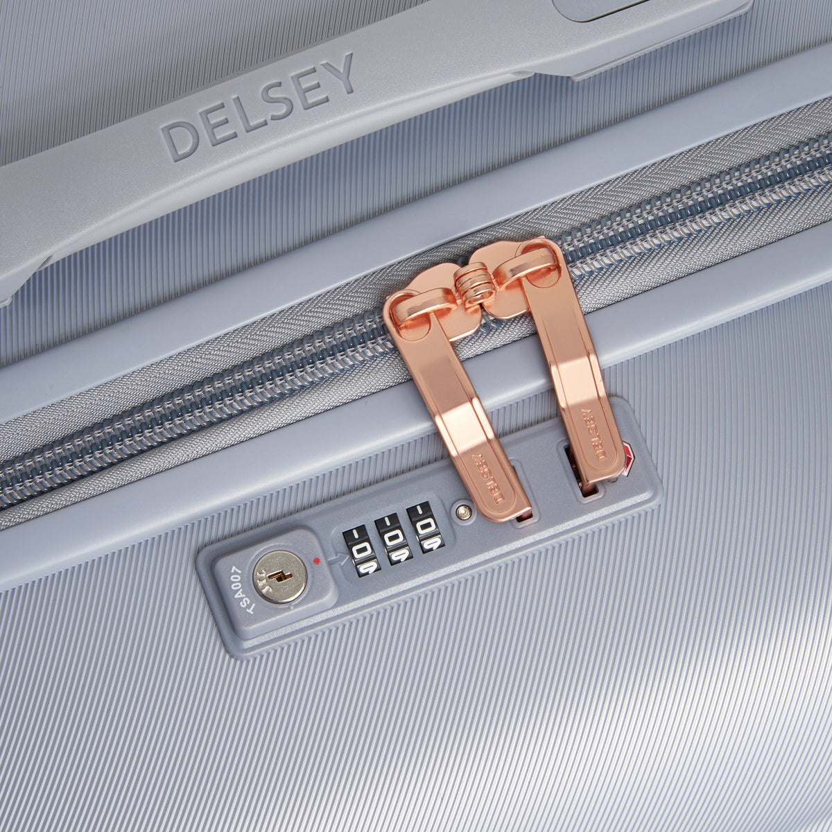 CRUISE 3.0 30-Inch Check-In Trunk Suitcase, Platinum - Delsey Paris Recommended