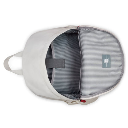 DYLAN 15.6-Inch Laptop Backpack, Pearl grey - Delsey Paris Top Pick