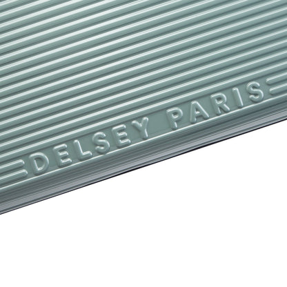 SPIN ME AWAY 31-Inch Check-In Suitcase, Sage green - Delsey Paris Classic